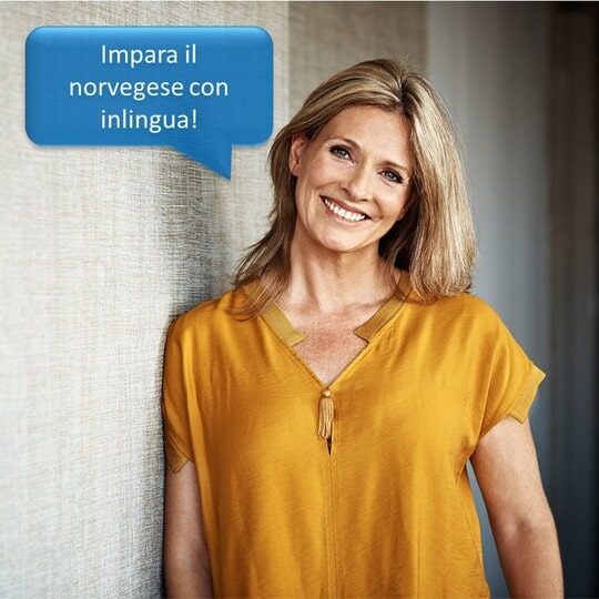 corso di norvegese, Corsi di norvegese